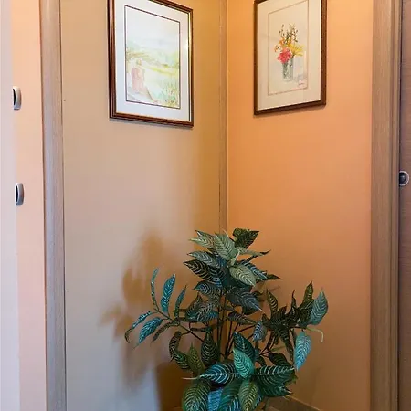 Sunny House Lägenhet Diano dʼAlba